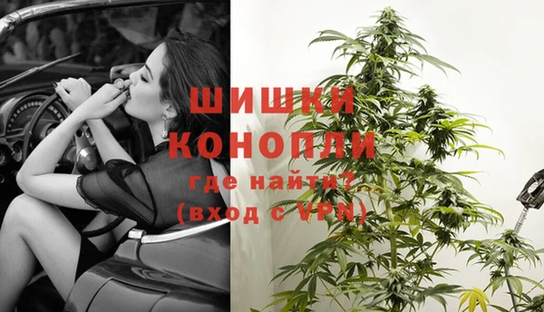 амф Белокуриха