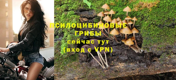 амф Белокуриха