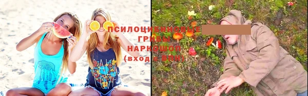 крисы Белоозёрский