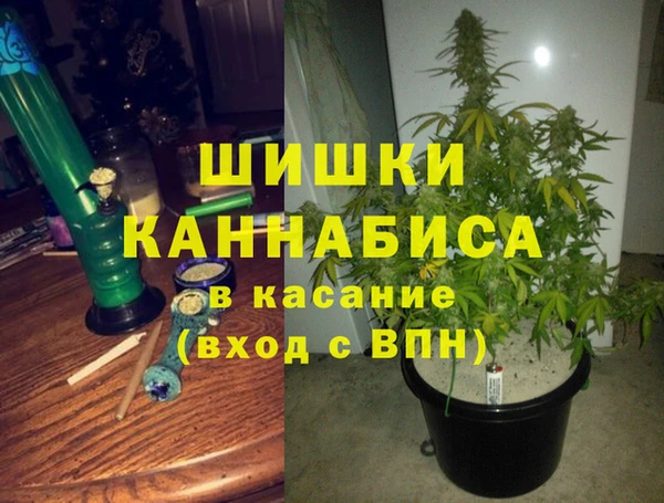 амф Белокуриха