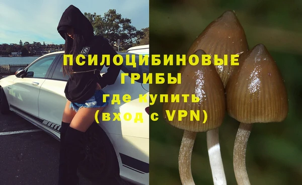 альфа пвп Беломорск